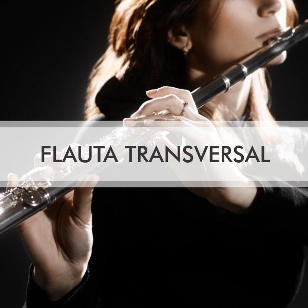 aulas flauta transversal